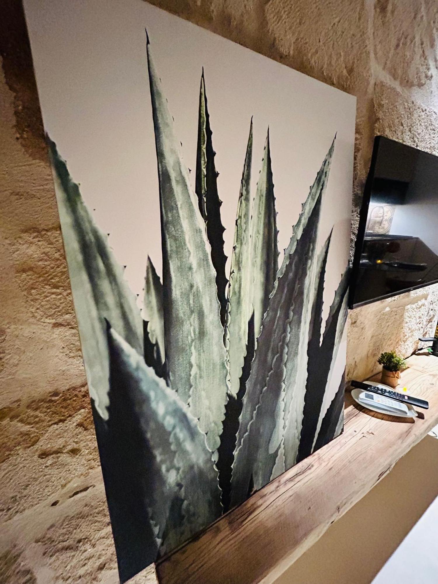 My Loft - Monopoli Leilighet Eksteriør bilde